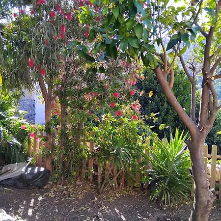 Casa Di Pilou - Maison Et Jardin Pres De La - Corbara