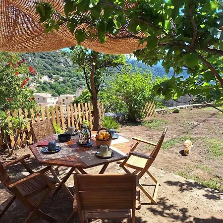 Casa Di Pilou - Maison Et Jardin Pres De La - Corbara