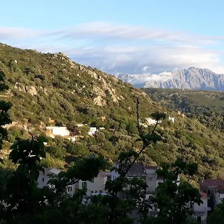 Hébergement de vacances Casa Di Pilou - Maison Et Jardin Près De La - *
