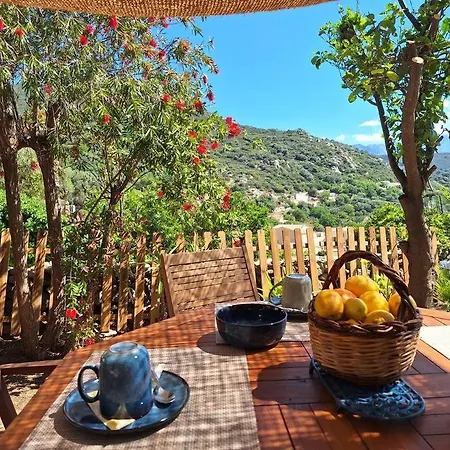 Hébergement de vacances Casa Di Pilou - Maison Et Jardin Près De La - Corbara