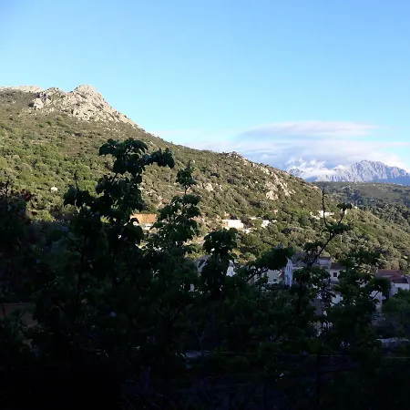 Casa Di Pilou - Maison Et Jardin Pres De La - Holiday home *