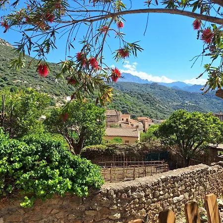 Casa Di Pilou - Maison Et Jardin Près De La - *