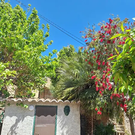 Casa Di Pilou - Maison Et Jardin Pres De La - Corbara