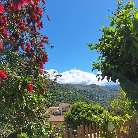 Casa Di Pilou - Maison Et Jardin Près De La - Corbara