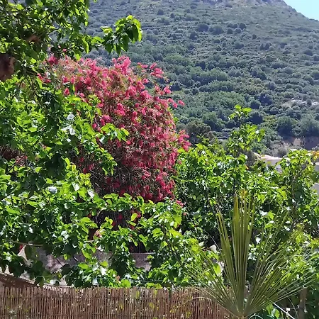 Hébergement de vacances Casa Di Pilou - Maison Et Jardin Près De La - *