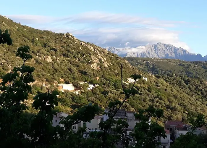 度假居 Casa Di Pilou - Maison Et Jardin Pres De La - *