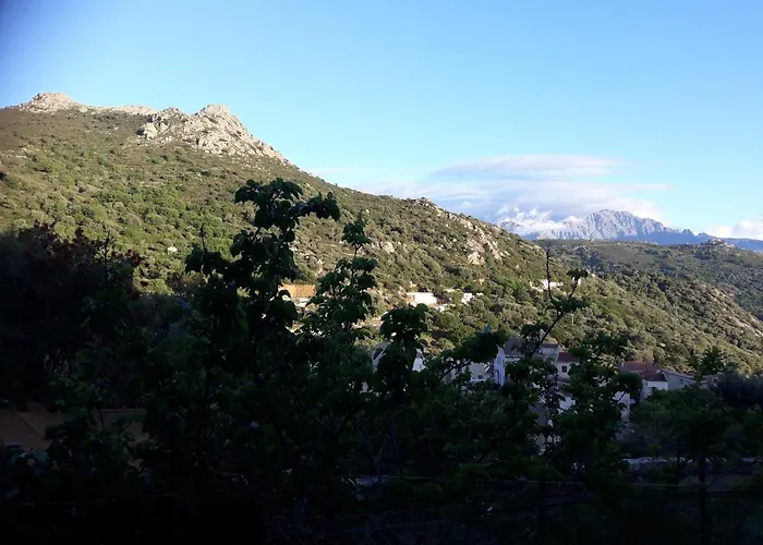 Casa Di Pilou - Maison Et Jardin Pres De La - 度假居 *