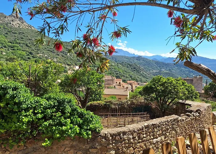 Casa Di Pilou - Maison Et Jardin Pres De La - *
