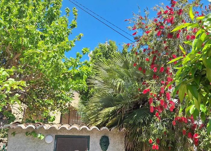 Casa Di Pilou - Maison Et Jardin Pres De La - 科尔巴拉