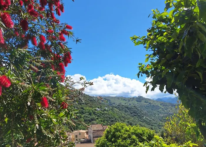 Casa Di Pilou - Maison Et Jardin Pres De La - Corbara